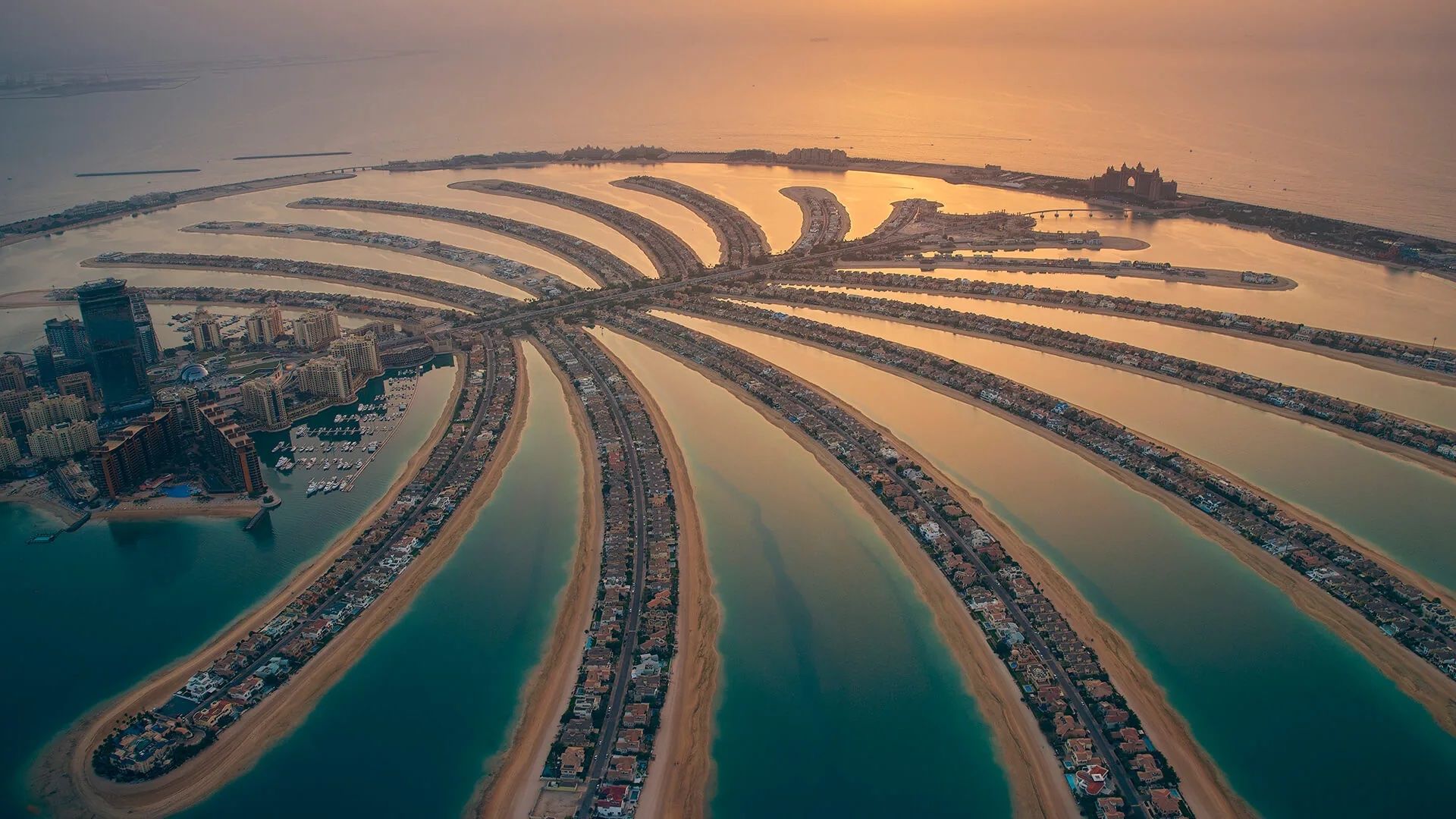 A Location Near Palm Jebel Ali